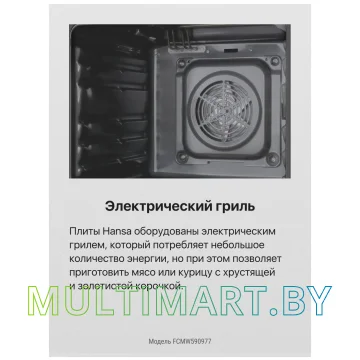 Плита газовая Hansa FCMW590977 картинка 10